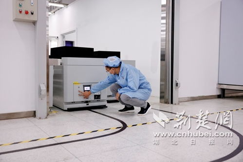 武汉电信与烽火通信携手打造双5G智慧工厂 开启互联网技术与设备销售新篇章